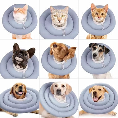 Nine images of cats and dogs wearing a blue Soft Recovery Cone Collar, with a white background.