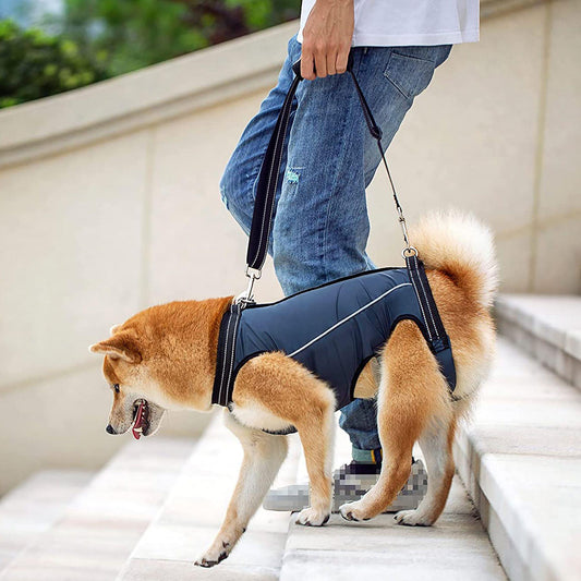 Dog Auxiliary Walking Belt for Senior & Disabled Dogs