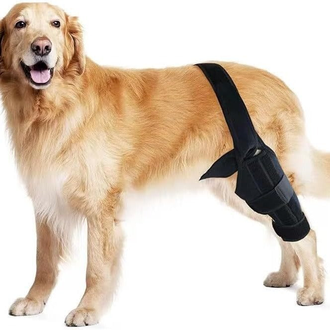 Rear Leg Support Sling for Dogs