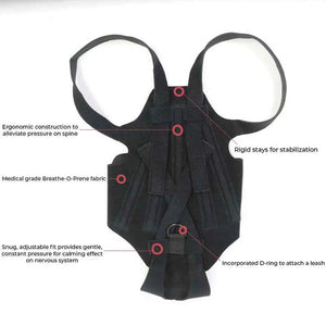 Dog wearing Dog Back Support Harness - IVDD, with labeled features on a white background