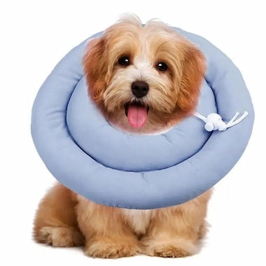 Dog wearing a blue Soft Recovery Cone Collar on a white background
