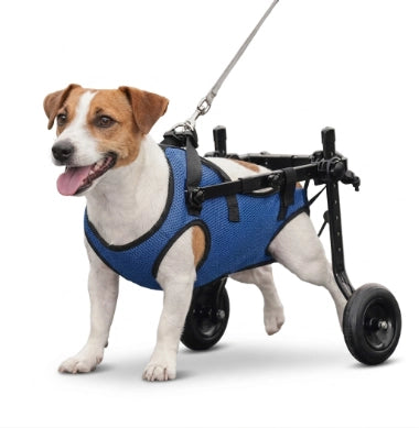 Loyal Stride Cart · Adjustable Dog Wheelchair for Rear Leg Support
