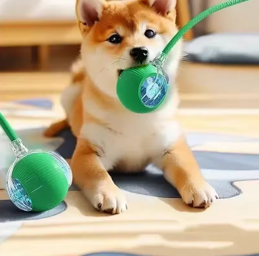 Dog playing with a Auto-Roll Interactive Pet Ball - Touch-Activated Smart Toy for Cats and Dogs on a wooden floor.