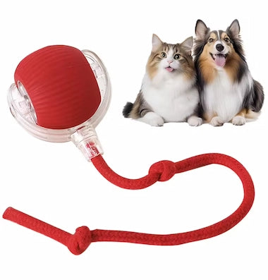 Auto-Roll Interactive Pet Ball