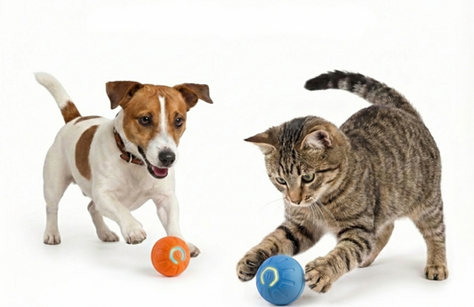 Smart Interactive Pet Ball