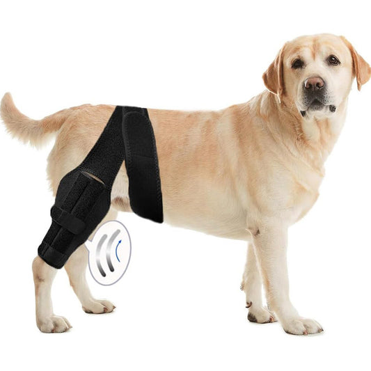 Rear Leg Support Sling for Dogs