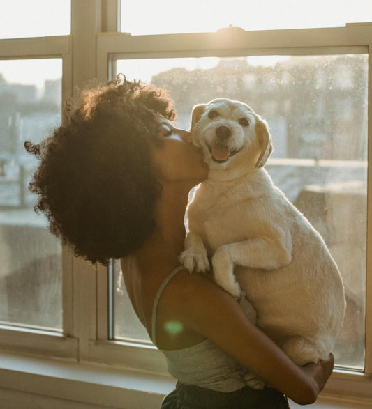 I Just Adopted a Dog. Now What? 