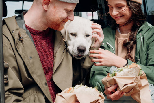 Do’s and Don’ts: Human Food for Dogs