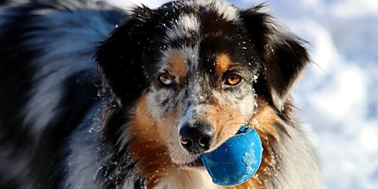 Games That Teach Skills