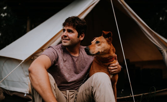 Camping With Your Dog
