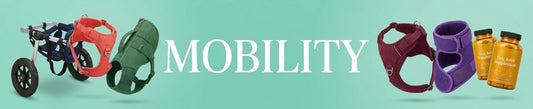 Dog wheelchair, harness, and mobility aids displayed neatly on a sage background, labeled MOBILITY.