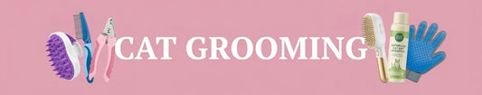 Cat Grooming