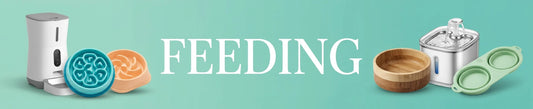 Dog feeding bowls, scoops, and mats arranged aesthetically on a green background, labeled FEEDING.