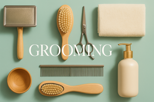 Dog grooming brushes, combs, and tools arranged on a soft mint surface, labeled GROOMING.
