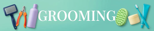 Dog grooming brushes, combs, and tools arranged on a soft mint surface, labeled GROOMING.