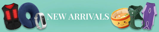 New dog accessories and essentials displayed flat lay on a mint green surface, labeled NEW ARRIVALS.