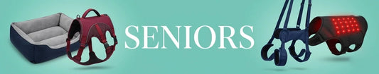 Senior dog products including soft bedding, feeding bowl, and care accessories on a green backdrop, labeled SENIORS.