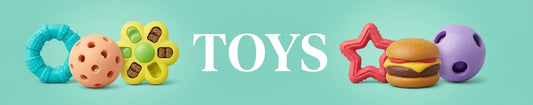 Dog toys such as ropes, balls, and plush bones arranged on a mint background, labeled TOYS.