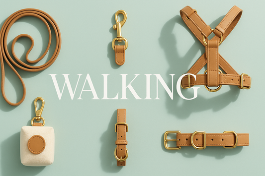 Dog walking accessories including leashes, harnesses, and collars on a mint background, labeled WALKING.