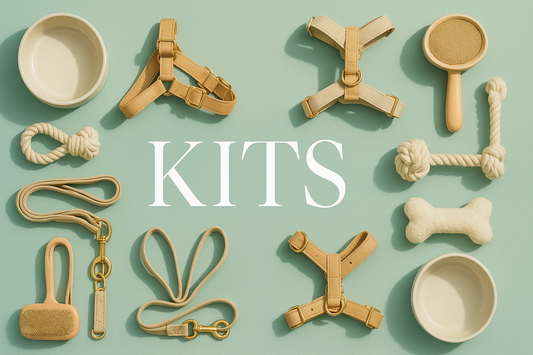 Dog care kits with leashes, brushes, toys, and accessories neatly arranged on a mint background, labeled KITS.