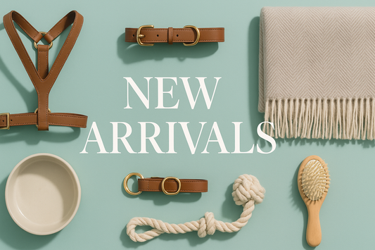 New dog accessories and essentials displayed flat lay on a mint green surface, labeled NEW ARRIVALS.