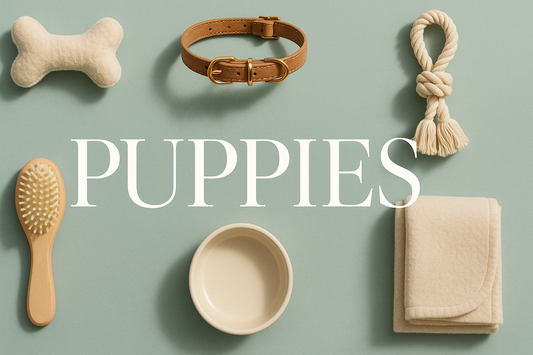Puppy essentials including a collar, brush, toy bone, and blanket on a soft green background, labeled PUPPIES.