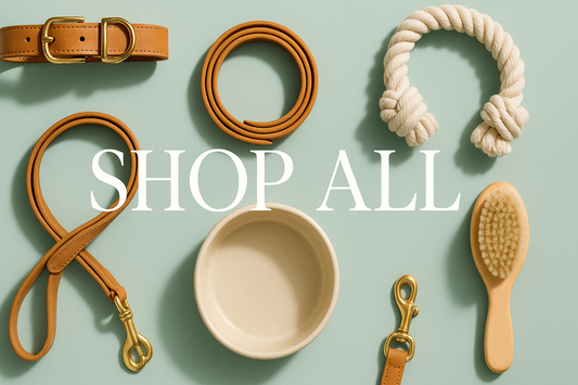 A flat lay of assorted dog products from all BarkLoyal collections on a green background, labeled SHOP ALL.