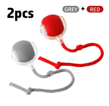 Two Auto-Roll Interactive Pet Balls, one red and one gray, with ropes on a white background.