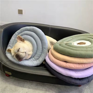 Soft Recovery Cone Collar