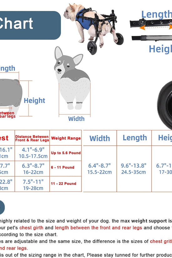 Loyal Stride Cart – Dog Wheelchair for Small to Medium Dogs