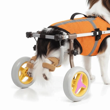 Freedom Walker Dog Wheelchair back view showing adjustable width and length