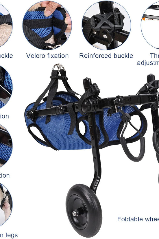 Loyal Stride Cart – Dog Wheelchair for Small to Medium Dogs