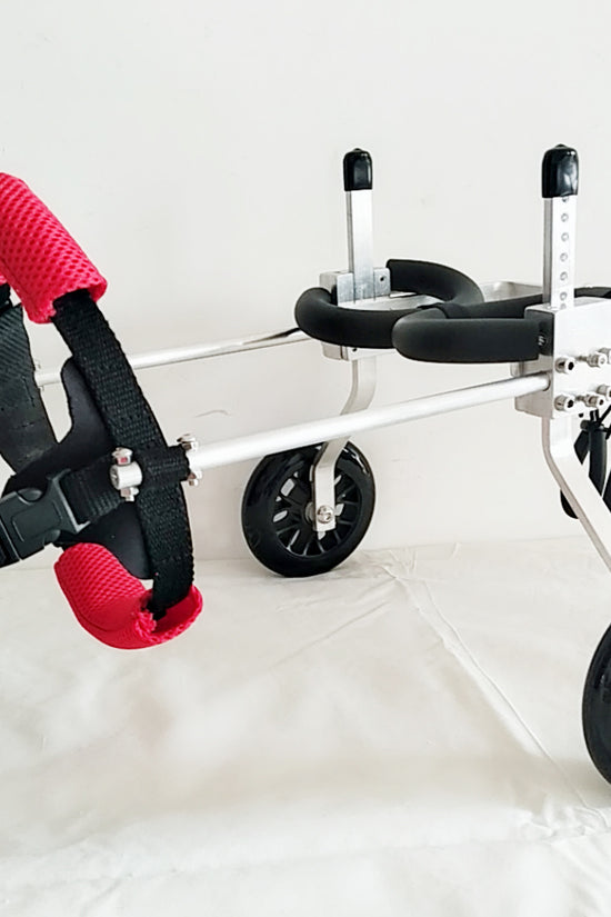 Dog cart with red doggy carts on a white background