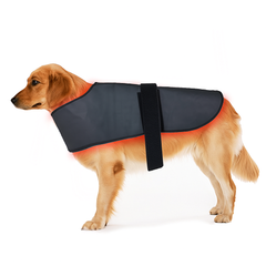 Wireless Infrared Therapy Vest for Dogs - Max Size