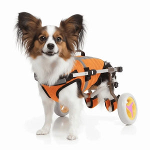 Freedom Walker Dog Wheelchair balanced composition showing full product