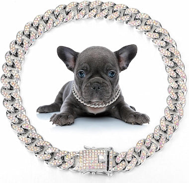 Puppy wearing a large silver Crystal Cuban Chain Pet Collar on a white background