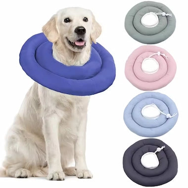 Dog wearing a blue Soft Recovery Cone Collar with additional colorful collars displayed.
