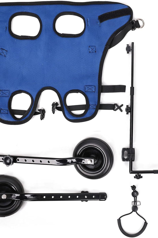 Loyal Stride Cart – Dog Wheelchair for Small to Medium Dogs