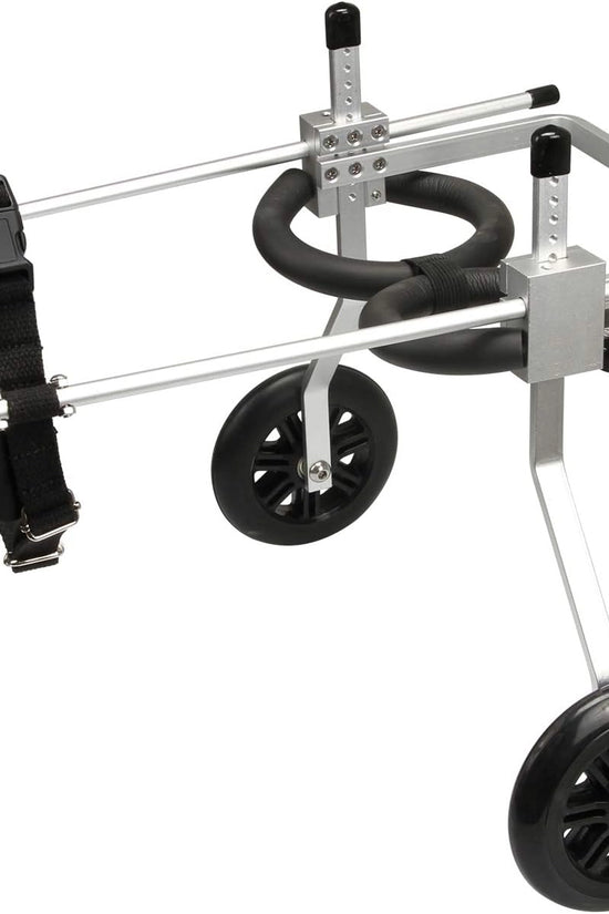 Nano Stride Cart – Hind-Leg Wheelchair for Small Dogs
