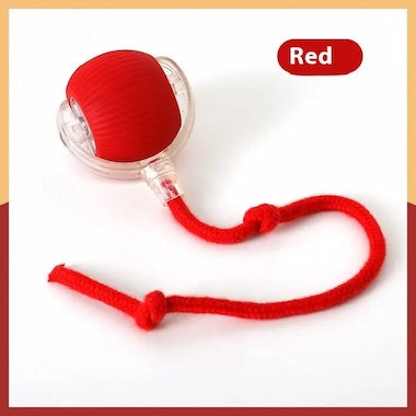 Red Auto-Roll Interactive Pet Ball  on a white background