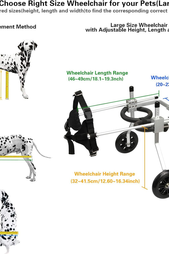 Nano Stride Cart – Hind-Leg Wheelchair for Small Dogs