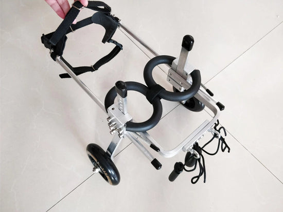 Nano Stride Cart – Hind-Leg Wheelchair for Small Dogs
