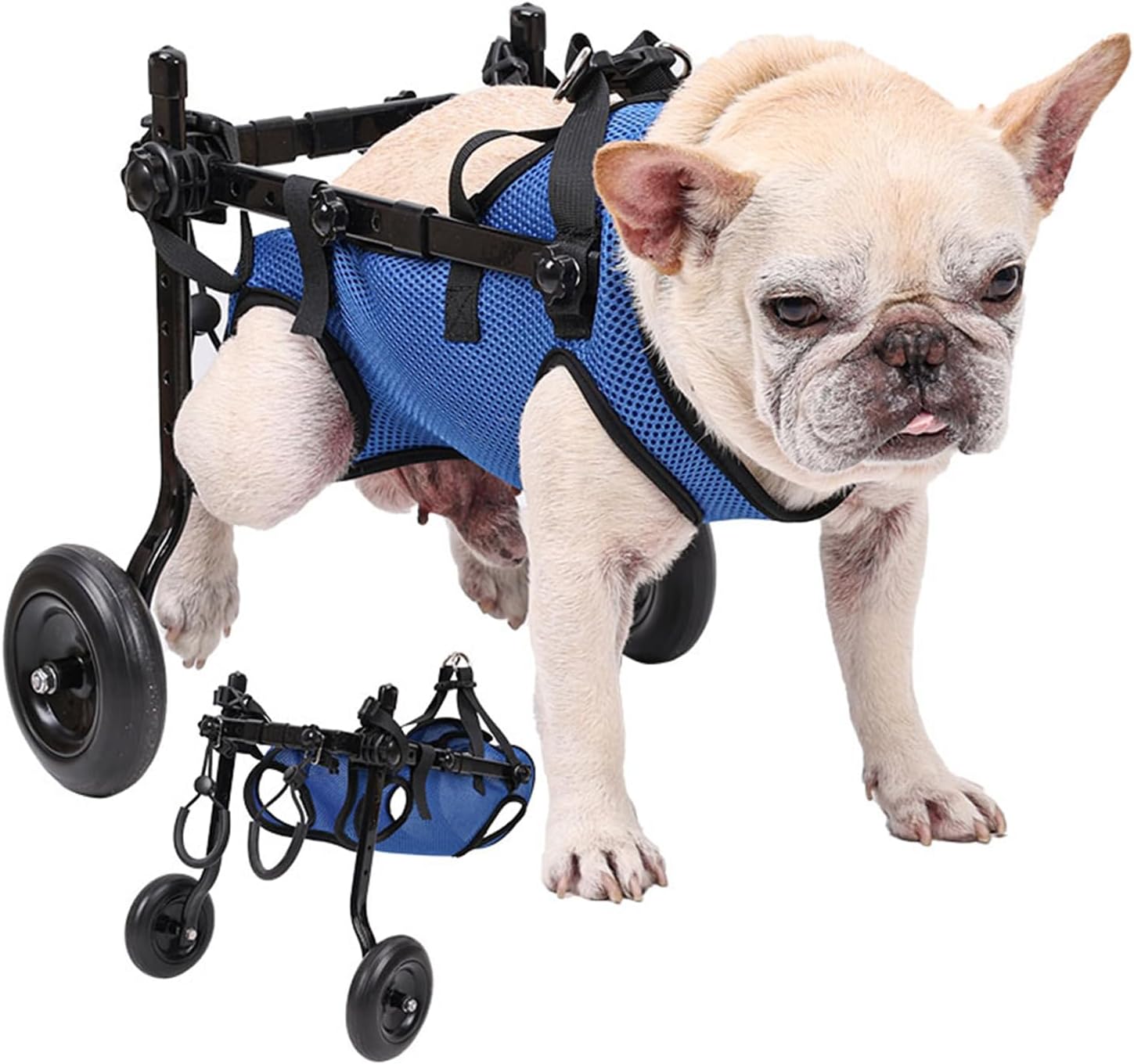 Loyal Stride Cart – Dog Wheelchair for Small to Medium Dogs