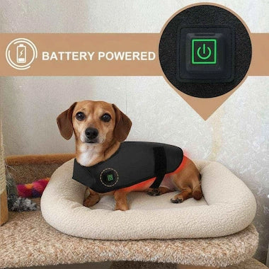 Small dog wearing an Infrared therapy vest for medium dogs 10-35kg on white background on a cushioned surface.