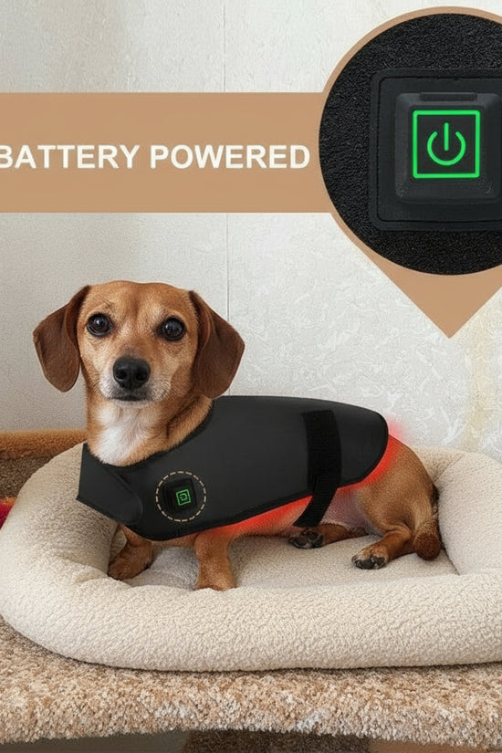 Infrared therapy vest for medium dogs 10-35kg on white background