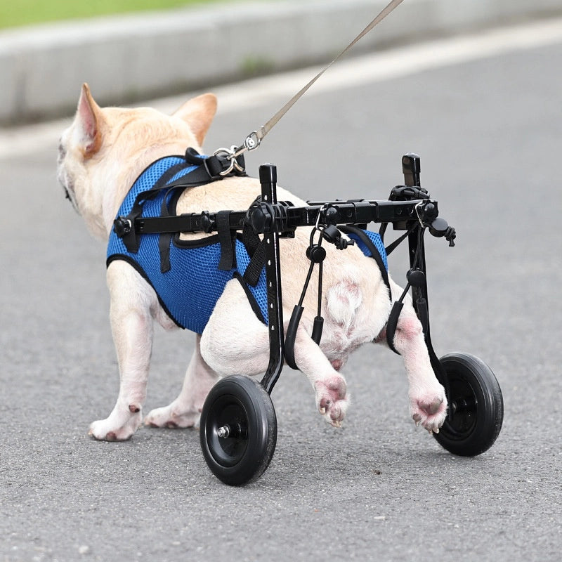 Loyal Stride Cart – Dog Wheelchair for Small to Medium Dogs
