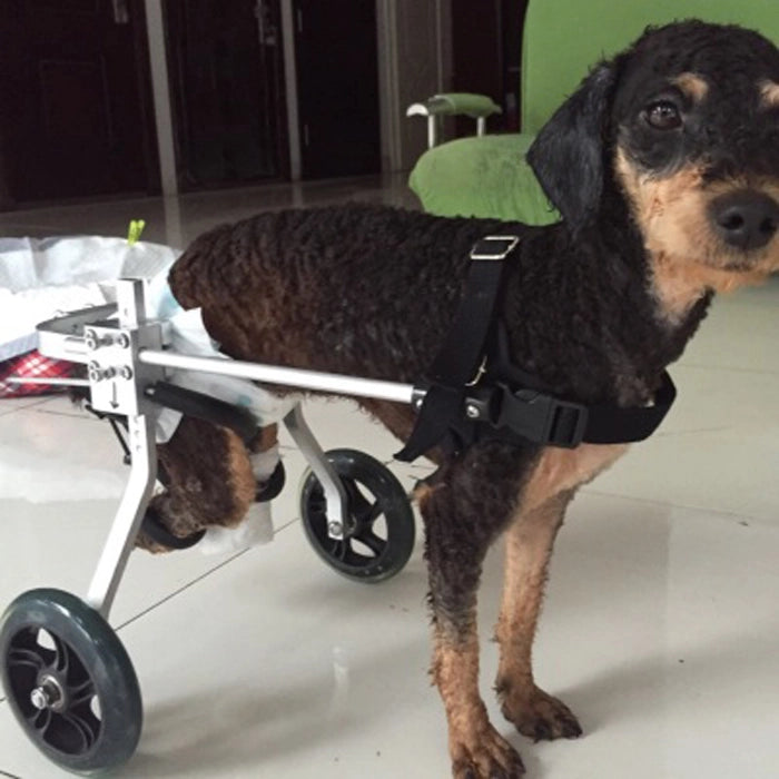 Nano Stride Cart – Hind-Leg Wheelchair for Small Dogs