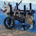 Stride Pro Dog Wheelchair · Adjustable Rear Support for Large Dogs