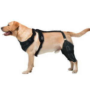 Dog Thigh Sleeve – Post-Surgery Support