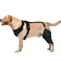 ZD# - Canine Recovery Thigh Sleeve – Adjustable Post-Surgery Support
